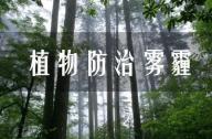 PM2.5有的治嗎？